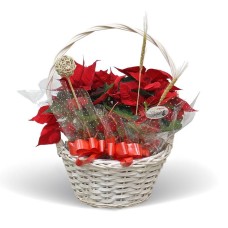 Big Easter Basket
